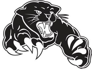 Panther 